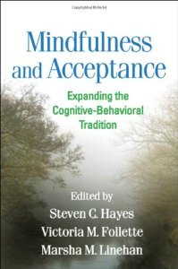 mindfulness and accpetance